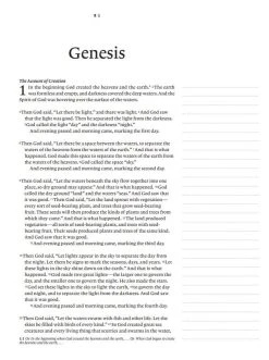 NLT Wide Margin Bible Brown – Filament Enabled 12 NLT Wide Margin Bible Brown – Filament Enabled -Books-Bible 212 0184 4