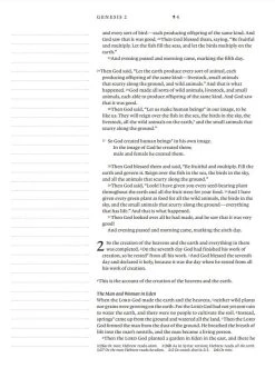 NLT Wide Margin Bible Brown – Filament Enabled 13 NLT Wide Margin Bible Brown – Filament Enabled -Books-Bible 212 0184 5