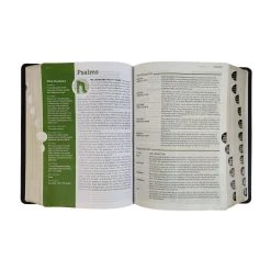 NLT Life Application Study Bible, Third Edition, Large Print Black Leather -Books-Bible 212 0185 2 1