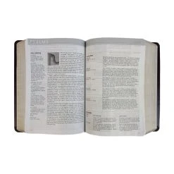 NLT Life Application Study Bible Large Print Brown Imitation Leather -Books-Bible 212 0186 2 1