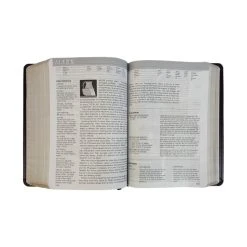 NLT Life Application Study Bible Large Print Brown Imitation Leather -Books-Bible 212 0186 3 1