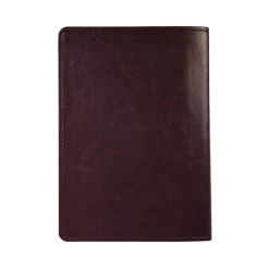 NLT Life Application Study Bible Large Print Brown Imitation Leather -Books-Bible 212 0186 4 1