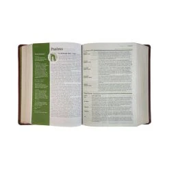 NLT Life Application Study Bible, Third Edition, Large Print Brown Leather 8 NLT Life Application Study Bible, Third Edition, Large Print Brown Leather -Books-Bible 212 0187 2 2