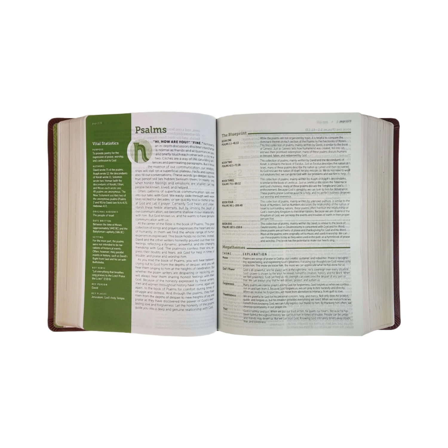NLT Life Application Study Bible, Third Edition, Large Print Brown Leather 5 NLT Life Application Study Bible, Third Edition, Large Print Brown Leather - Image 3