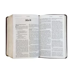 NLT Compact Giant Print Bible -Books-Bible 212 0191 3 1