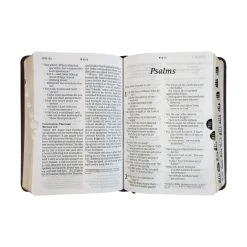 NLT Compact Giant Print Bible, -Books-Bible 212 0192 3