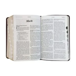 NLT Compact Giant Print Bible, -Books-Bible 212 0192 4