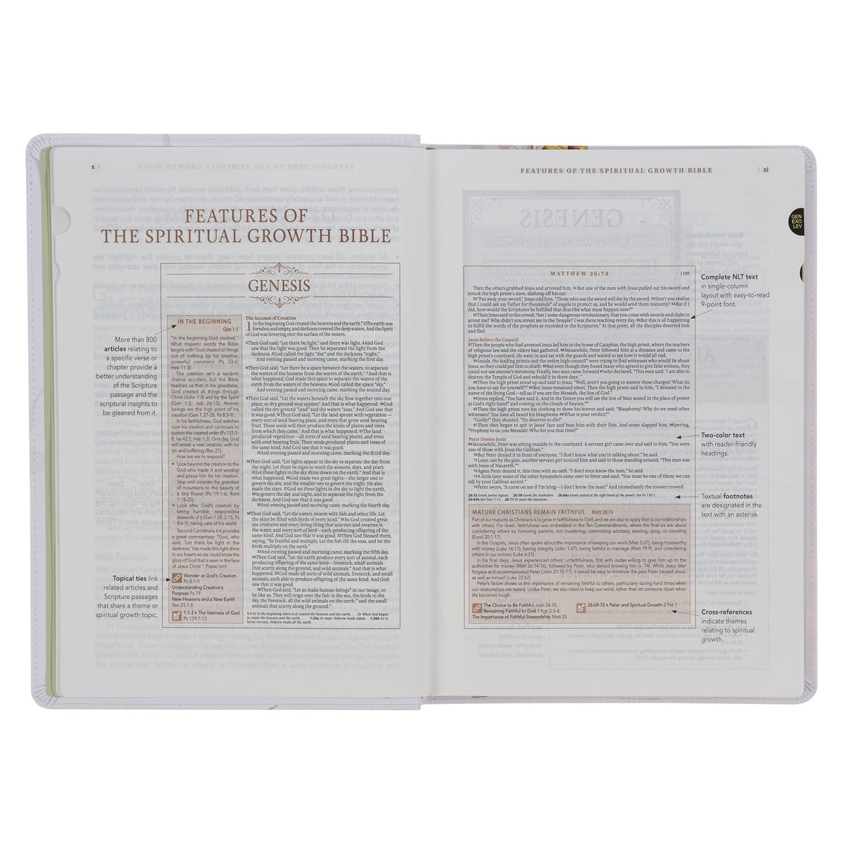 NLT Cream-colored Floral Faux Leather Spiritual Growth Bible 5 NLT Cream-colored Floral Faux Leather Spiritual Growth Bible - Image 3