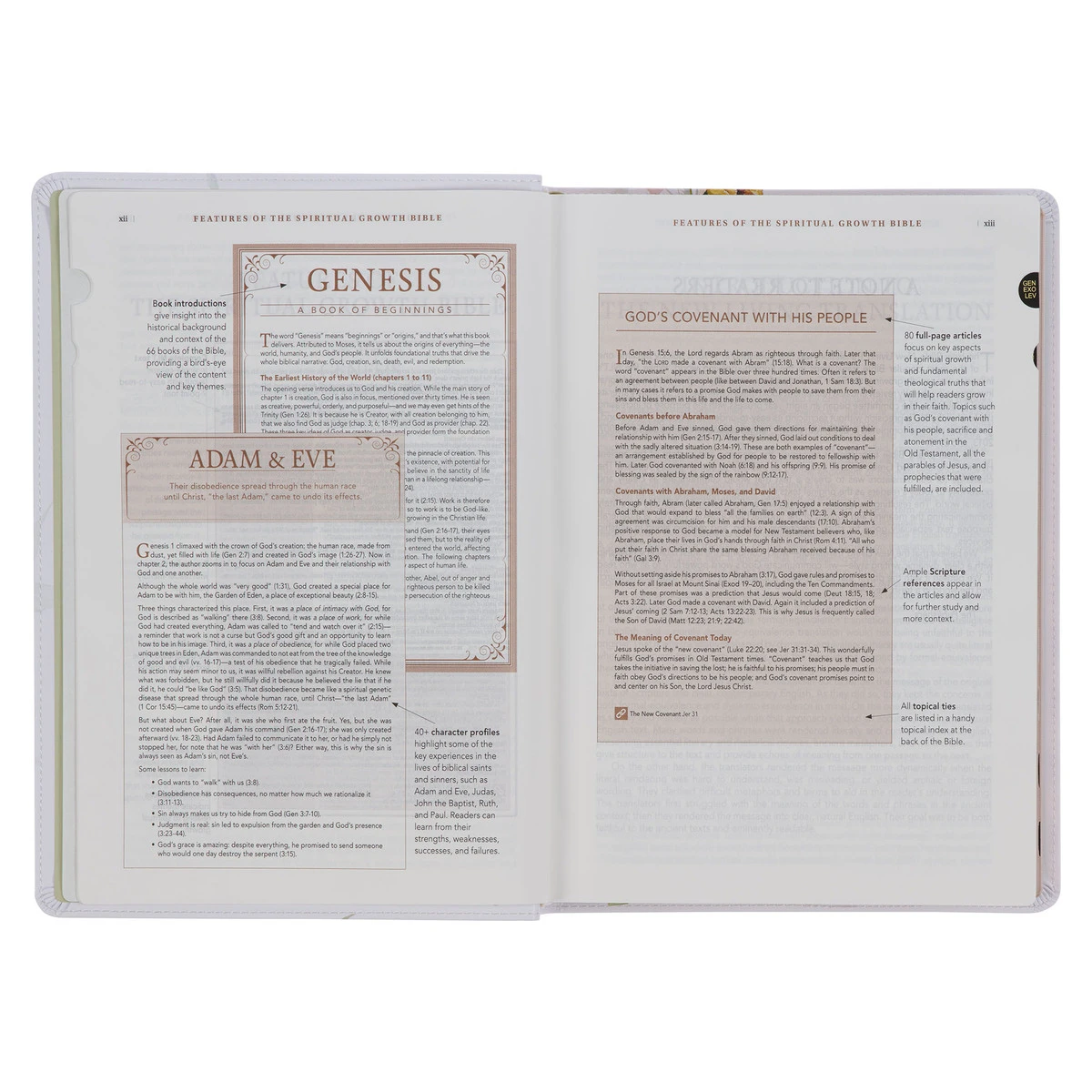 NLT Cream-colored Floral Faux Leather Spiritual Growth Bible 6 NLT Cream-colored Floral Faux Leather Spiritual Growth Bible - Image 4