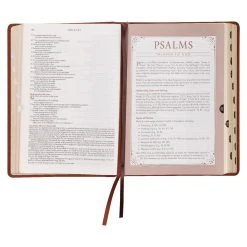 NLT Saddle Tan Faux Leather Spiritual Growth Bible 13 NLT Saddle Tan Faux Leather Spiritual Growth Bible -Books-Bible 212 0206 5