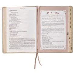 NLT Pearlescent Taupe Faux Leather Spiritual Growth Bible -Books-Bible 212 0207 5 1