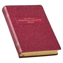 NLT Berry Faux Leather Spiritual Growth Bible -Books-Bible 212 0211 2