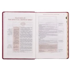 NLT Berry Faux Leather Spiritual Growth Bible -Books-Bible 212 0211 3