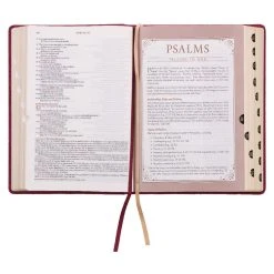NLT Berry Faux Leather Spiritual Growth Bible -Books-Bible 212 0211 5