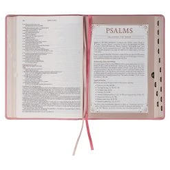 NLT Pink Faux Leather Spiritual Growth Bible -Books-Bible 212 0212 5