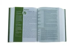 NLT Life Application Study Bible, Third Edition, Large Print -Red -Books-Bible 212 1150 3 1