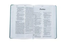 NLT Personal Size Giant Print Bible LeatherLike, Floral Frame Teal 11 NLT Personal Size Giant Print Bible LeatherLike, Floral Frame Teal -Books-Bible 212 1165 3 1