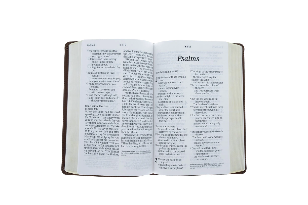 NLT Personal Size Giant Print Bible, LeatherLike, Rustic Brown 5 NLT Personal Size Giant Print Bible, LeatherLike, Rustic Brown - Image 3