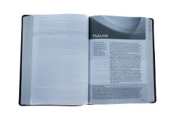 NLT Life Recovery Bible, Second Edition Leatherlike, Rustic Brown -Books-Bible 212 1174 4