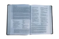 NLT Life Recovery Bible, Second Edition Leatherlike, Rustic Brown -Books-Bible 212 1174 5