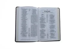 NRSV, Thinline Reference Bible, Leathersoft, Burgundy -Books-Bible 213 0015 3