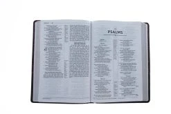 NRSV, Thinline Reference Bible, Large Print, Leathersoft, Burgundy -Books-Bible 213 0018 3