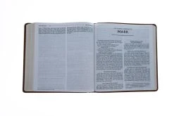 NRSV, Holy Bible, XL Edition, Leathersoft, Brown -Books-Bible 213 0020 4