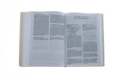 Nrsv, The C. S. Lewis Bible -Books-Bible 213 0029 3