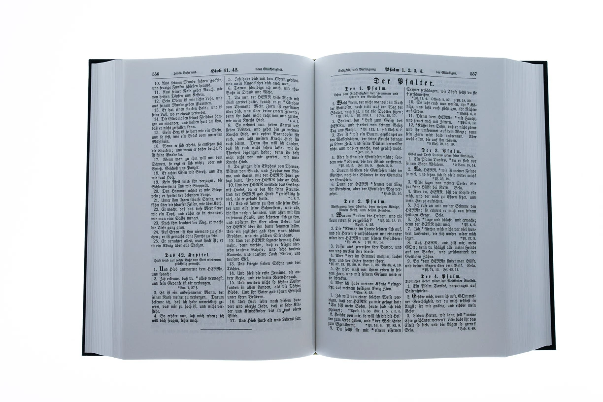 Die Bibel Heilege Schrift Gothic Script 7 X 10 X 2 1/2 4 Die Bibel Heilege Schrift Gothic Script 7 X 10 X 2 1/2 - Image 2