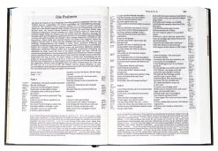 Die Bibel Schlachter Version 2000 #255.051 -Books-Bible 215 0023 1