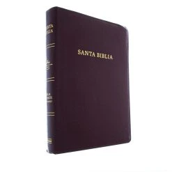 Spanish-RVR 1960/KJV Bilingual Bible-Burgundy Imitation Leather -Books-Bible 216 0002 1