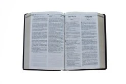 Spanish-RVR 1960/KJV Bilingual Bible-Burgundy Imitation Leather -Books-Bible 216 0002 2