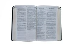 RVR 1960 KJV Santa Biblia -Spanish And English Edition 10 RVR 1960 KJV Santa Biblia -Spanish And English Edition -Books-Bible 216 0003 3