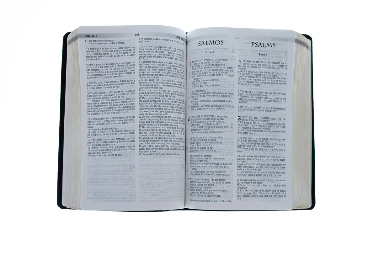 RVR 1960 KJV Santa Biblia -Spanish And English Edition 6 RVR 1960 KJV Santa Biblia -Spanish And English Edition - Image 4