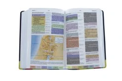 RVR 1960 Biblia De Estudio Arcoiris, Morado/multicolor -Books-Bible 216 0025 5 1