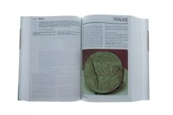 CEB Study Bible W/Apocrypha-Hardcover 12 CEB Study Bible W/Apocrypha-Hardcover -Books-Bible 217 0005 5