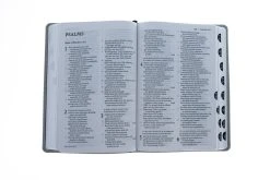 NET Bible, Thinline Large Print, Leathersoft, Stone, Thumb Indexed -Books-Bible 221 0008 3