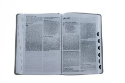 NET Bible, Thinline Large Print, Leathersoft, Stone, Thumb Indexed -Books-Bible 221 0008 4