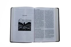 NET Thinline Art Edition/Large Print Brown Leathersoft -Books-Bible 221 0025 4