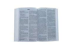 Semeur, French Bible: La Sainte Bible Version Semeur Paperback -Books-Bible 225 0003 3