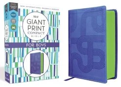 NIRV Giant Print Compact Bible For Boys