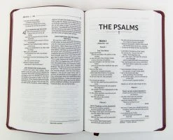 NRSVUE Gift Bible, Leathersoft, Burgundy, Comfort Print -Books-Bible 226 0014 2