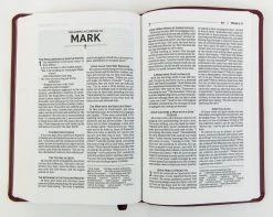 NRSVUE Gift Bible, Leathersoft, Burgundy, Comfort Print -Books-Bible 226 0014 3