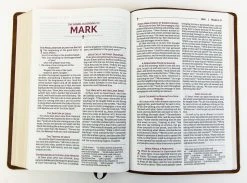 NRSVUE Holy Bible With Apocrypha, Leathersoft, Brown -Books-Bible 226 0015 2