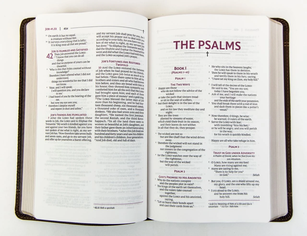 NRSVUE Holy Bible With Apocrypha Personal Size, Brown 5 NRSVUE Holy Bible With Apocrypha Personal Size, Brown - Image 3