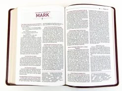 NRSVUE Holy Bible, Leathersoft, Burgundy, Comfort Print -Books-Bible 226 0018 2