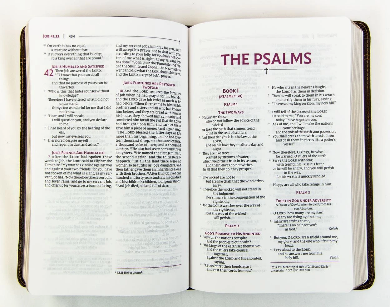 NRSVUE Holy Bible, Personal Size, Leathersoft, Brown, Comfort Print 5 NRSVUE Holy Bible, Personal Size, Leathersoft, Brown, Comfort Print - Image 3