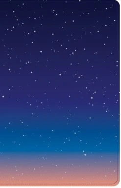 CSB Kids Bible, Thinline Edition, Space Leathertouch