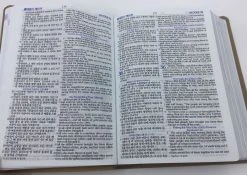 Korean/English Bible (Good News Translation) -Books-Bible 226 0028 1