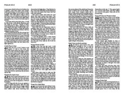 NLV Unique Bible For Teen Girls -Books-Bible 226 0029 2